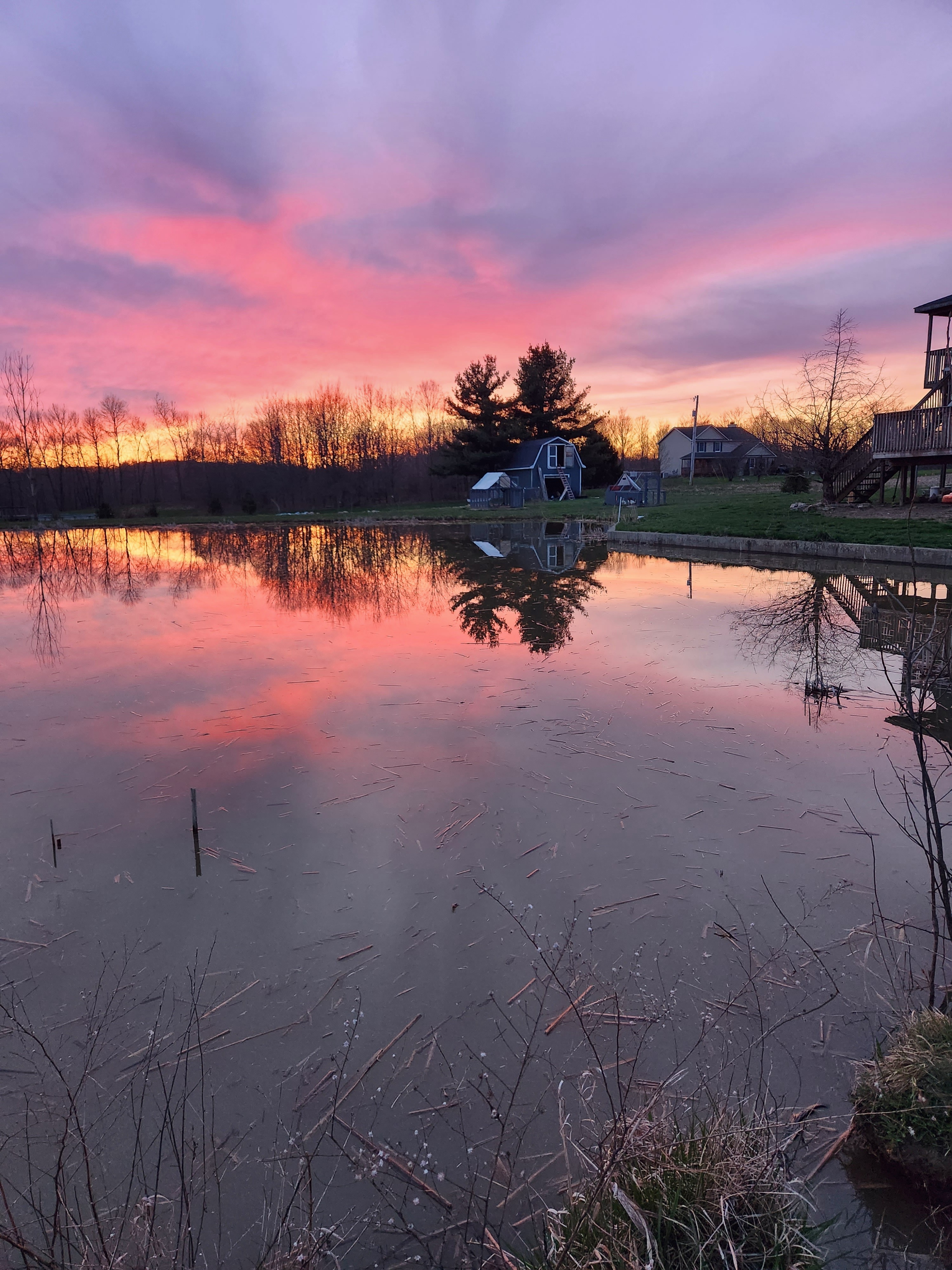 Scenic View of Farm